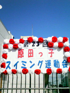 200703041233000.jpg