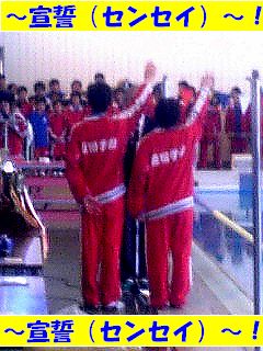 hswimming-2007-03-30T13_17_01-1.jpg