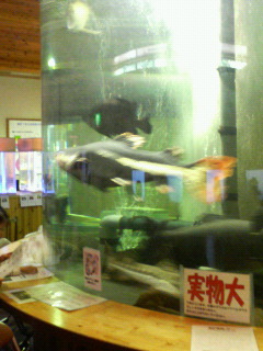 200705201508000.jpg