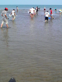 2008051810310000.jpg