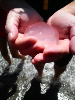 2008070610300000.jpg
