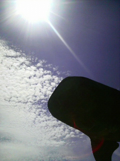 2008072913430000.jpg
