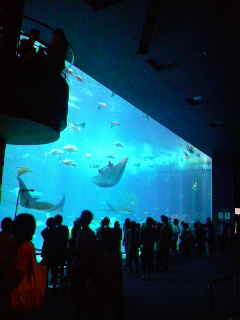 2008072912360000.jpg