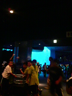 2008072912350000.jpg