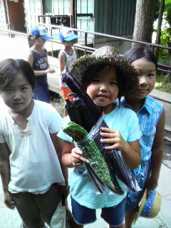 2008073011260000.jpg