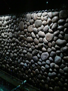 P1000076.jpg