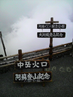P1000082.jpg