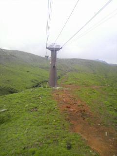 P1000083.jpg