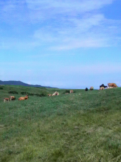 P1000091.jpg