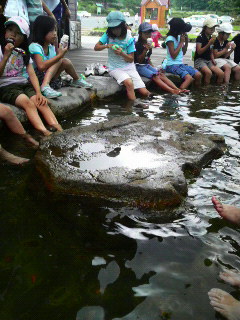 2008073112160000.jpg