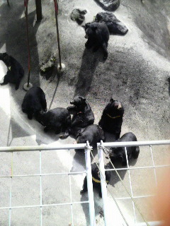 P1000094.jpg