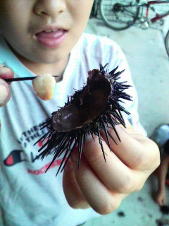 P1000148.jpg