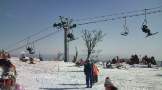 20090208095026.jpg