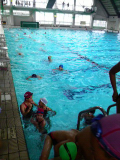 P1000731.jpg