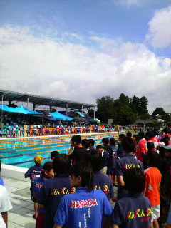 P1000761.jpg