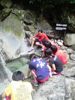 P1000767.jpg