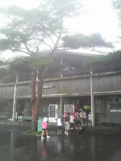 P1000768.jpg