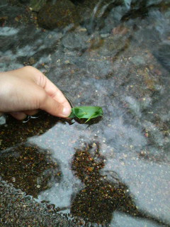 2009072916030000.jpg