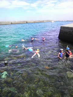 P1000826.jpg