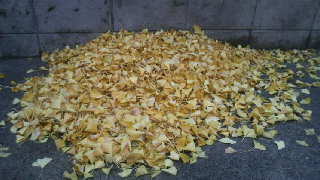 2009112808220001.jpg