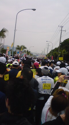 20100110084239.jpg