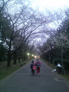 2010032817510000.jpg