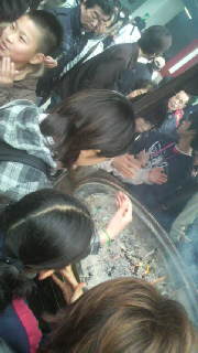 2010033016350002.jpg