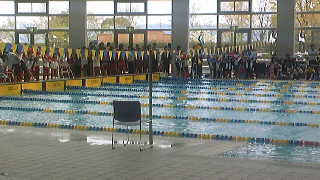 2010033016340000.jpg