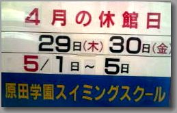 hswimming-2010-04-06T09_53_01-1.jpg