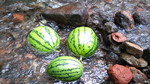 2010-07-30 13.48.08.jpg