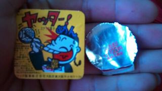hswimming-2011-01-23T07_12_25-6.jpg