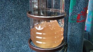 hswimming-2011-01-23T14_45_56-1.jpg