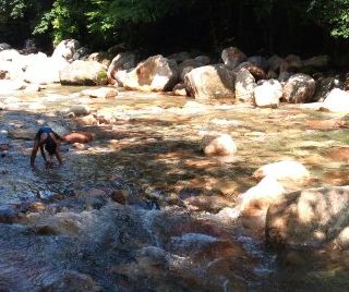 hswimming-2011-08-09T15_08_51-2.jpg