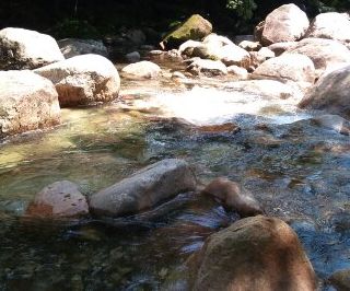 hswimming-2011-08-09T15_08_51-3.jpg