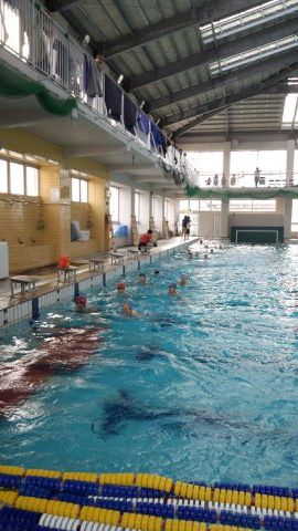hswimming-2012-06-11T16-48-37-5.jpg