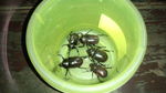 IMG_20120810_212735.jpg