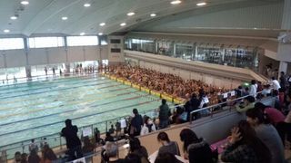 hswimming-2013-02-09T17-08-30-1.jpg
