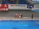 IMG_8687.JPG