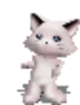 neko.gif