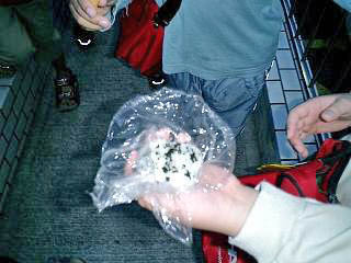 onigiri1.JPG